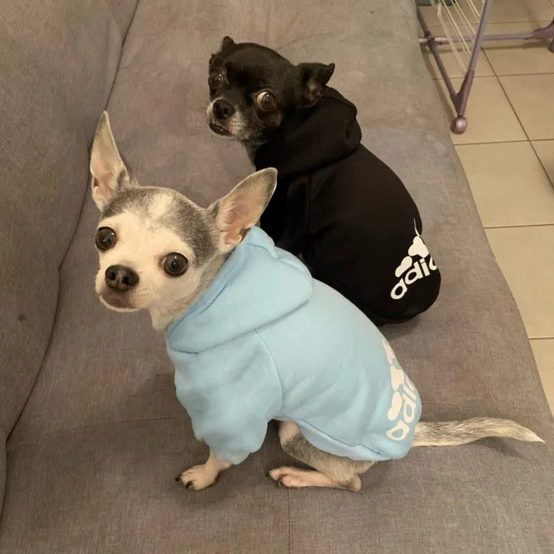 2024 Winter Dog Hoodies